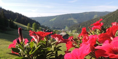 Pensionen - Garten - Abtenau - Blick vom Balkon - Ferienwohnungen Haus Bergfried