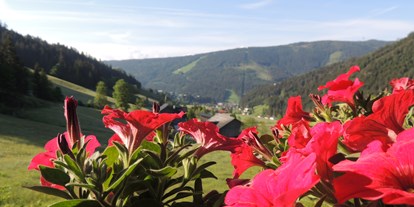 Pensionen - Art der Pension: Ferienwohnung - Untertauern (Untertauern) - Blick vom Balkon - Ferienwohnungen Haus Bergfried