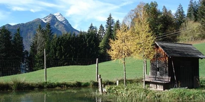 Pensionen - Garten - Dambach (Rosenau am Hengstpaß) - Bio- Ferienhof Kreilgut