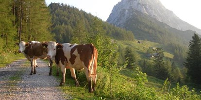 Pensionen - Umgebungsschwerpunkt: See - Grünau im Almtal - Bio- Ferienhof Kreilgut