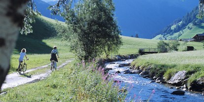 Pensionen - Umgebungsschwerpunkt: Berg - Lana (Kals am Großglockner) - Ferienpension Senfter