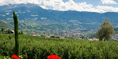 Pensionen - Kühlschrank - Lana (Trentino-Südtirol) - unsere Aussicht auf Meran - Pension Plarserhof