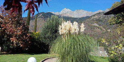 Pensionen - Trentino-Südtirol - Unser Garten zur Nordseite mit herrlichem Blick auf den Naturpark Texelgruppe. Der Bekannteste Wanderweg ist der Meraner Höhenweg. - Pension Plarserhof