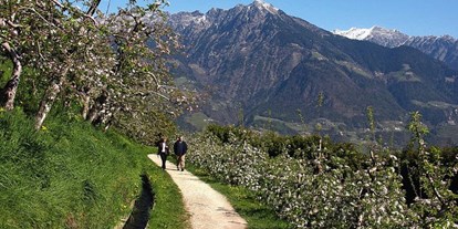 Pensionen - Kühlschrank - Lana (Trentino-Südtirol) - Die Umgebung von Algund bietet Wanderwege für alle Ansprüche. 160 km Waal- und Spazierwege wurden zur Mereraner Waalrunde zusammengeschlossen und Plars/Töll ist der Ausgangspunkt für die Wanderungen. Unvergessliche Bergtouren im Naturpark Texelgruppe. Selbstverständlich gibt es auch jeden Mittwoch geführte Wanderungen (organisiert mit einem Wanderexperten vom Touristikbüro Algund) Einige Wanderwege erreichen Sie vom Haus aus, oder kostenl. mit dem Bus mit der AlgundCard. Neu: Abendbus bis 22 Uhr - Pension Plarserhof