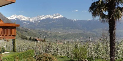 Pensionen - Trentino-Südtirol - Von März bis November ist unsere Pension geöffnet. Aber wann ist die ideale Wanderzeit? Im Frühling, wenn die Natur erwacht, zur Baumblüte im April, im Sommer, wenn man die schönsten Hochtouren machen kann, im Herbst zur Apfel- und Weinlese oder im Oktober zum Törggelen?
Das entscheiden Sie selbst, denn jede Jahreszeit ist eine Reise wert! - Pension Plarserhof
