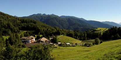 Pensionen - weitere Verpflegungsmöglichkeiten: Abendessen - Steinegg (Trentino-Südtirol) - Langeshof