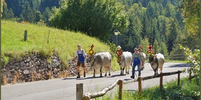Pensionen - Fahrradverleih - Trentino-Südtirol - Langeshof