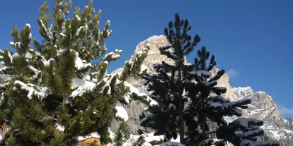 Pensionen - Garten - Wolkenstein (Trentino-Südtirol) - Garten im Winter - Garni Gabrieli