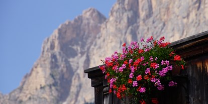 Pensionen - Garten - Südtirol - Garni Laura