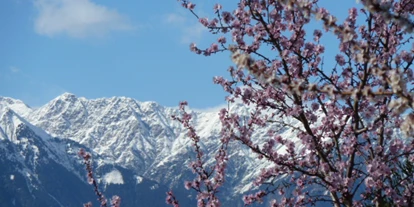 Pensionen - Art der Pension: Ferienwohnung - Blumau (Trentino-Südtirol) - Schnee und Blumen im Frühling! - Pension Sonnheim