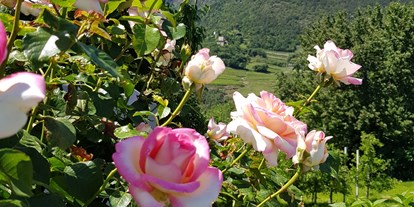 Pensionen - Garten - Partschins - 100 verschiedene Rosenstöcke verzieren unser Anwesen.  - Residence Sonnengarten**