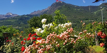 Pensionen - Balkon - Dorf Tirol - Bei strahlendblauem Himmel, bunter Blumenpracht, mit frischer, vom blumigen Aroma erfüllter Luft  werden alle Ihre Sinne geweckt. - Residence Sonnengarten**