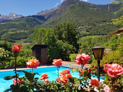 Pensionen - Spielplatz - Trentino-Südtirol - Umgeben von einer traumhaft schönen Kulisse lässt es sich im Schwimmbad herrlich planschen.   - Residence Sonnengarten**