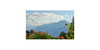 Pensionen - Kühlschrank - Lana (Trentino-Südtirol) - Panoramablick vom Zimmer aus - Steinerhof Hafling