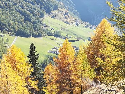 Pensionen - Art der Pension: Gasthaus mit Zimmervermietung - Trentino-Südtirol - Pension  Trausberg **