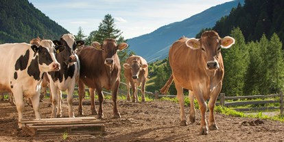 Pensionen - Umgebungsschwerpunkt: Berg - Trentino-Südtirol - Unsere Lieferanten für die beste Heumilch - BIO-Bauernhof Inner-Glieshof