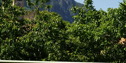 Pensionen - Umgebungsschwerpunkt: am Land - Blumau (Trentino-Südtirol) - Zimmer Aussicht - Burgunderhof