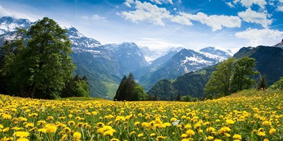 Pensionen - Garten - Trentino-Südtirol - Gasthof - Pension Tannenhof