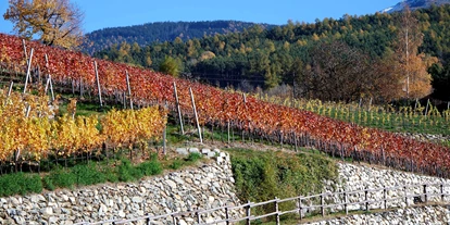 Pensionen - Spielplatz - San Cassiano - Herbstfärbung der Weinreben - Haus Karin ***