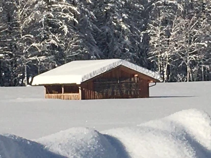 Pensionen - Umgebungsschwerpunkt: am Land - Fendels - Winter - Gästehaus Helga