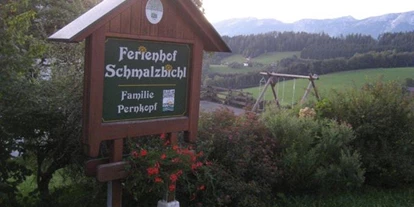 Pensionen - Spielplatz - Dambach (Rosenau am Hengstpaß) - Ferienhof Schmalzbichl