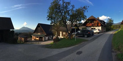 Pensionen - Art der Pension: Urlaub am Bauernhof - Dambach (Rosenau am Hengstpaß) - Ferienhof Schmalzbichl