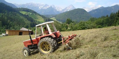Pensionen - Umgebungsschwerpunkt: Berg - Viechtwang - Pferde- und Schafhof Klinser
