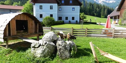 Pensionen - Garten - Dambach (Rosenau am Hengstpaß) - Baby- und Kinderbauernhof Riegler