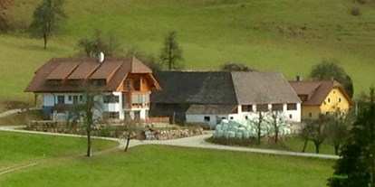 Pensionen - Umgebungsschwerpunkt: Berg - Großraming - Ferienhof Hintergrabenbauer