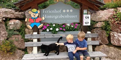 Pensionen - Garten - Dambach (Rosenau am Hengstpaß) - Ferienhof Hintergrabenbauer