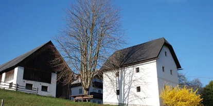 Pensionen - Spielplatz - Dambach (Rosenau am Hengstpaß) - Baby- und Kinderbauernhof Zamsegg