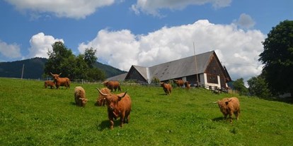 Pensionen - Wanderweg - Oberösterreich - Baby- und Kinderbauernhof Zamsegg