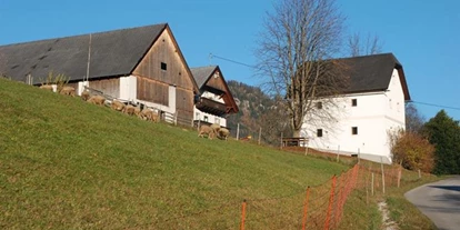 Pensionen - Garten - Dambach (Rosenau am Hengstpaß) - Baby- und Kinderbauernhof Zamsegg