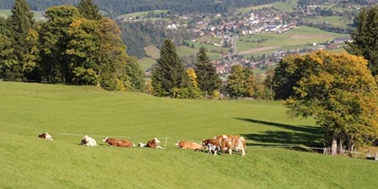 Pensionen - Hunde: erlaubt - Steinwand (Krems in Kärnten, Rennweg am Katschberg) - Ferienwohnungen Veitlbauer