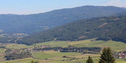 Pensionen - Art der Pension: Urlaub am Bauernhof - Steinwand (Krems in Kärnten, Rennweg am Katschberg) - Ferienwohnungen Veitlbauer