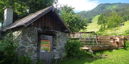 Pensionen - Wanderweg - Dorfgastein - Biohof Maurachgut