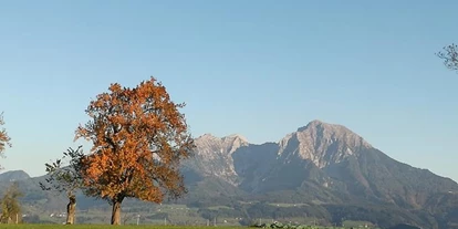 Pensionen - Art der Pension: Urlaub am Bauernhof - Dambach (Rosenau am Hengstpaß) - Biohof Gschwandt