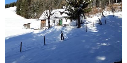 Pensionen - Hausmanning (Schlierbach, Oberschlierbach) - Ferienhof Hinterramsebn 