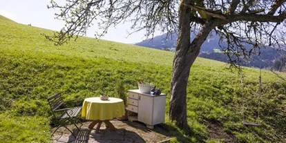 Pensionen - Umgebungsschwerpunkt: Berg - Arndorf (Mittersill, Hollersbach im Pinzgau) - Ferienwohnung Oberlehen