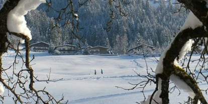Pensionen - Umgebungsschwerpunkt: Berg - Strass im Zillertal - Ferienwohnungen Exenberger