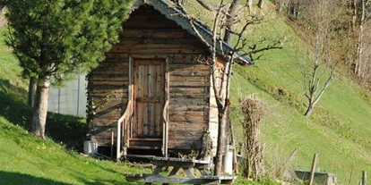 Pensionen - Umgebungsschwerpunkt: Berg - Arndorf (Mittersill, Hollersbach im Pinzgau) - Ferienwohnungen Siedlerhof