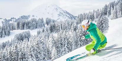 Pensionen - Skilift - Alpbach - Kodahof