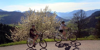 Pensionen - Art der Pension: Ferienwohnung - Brixen im Thale - Ferienwohnung Thaler