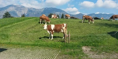 Pensionen - Art der Pension: Urlaub am Bauernhof - Ellmau - Ferienbauernhof Waldschönau