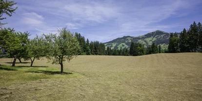 Pensionen - Parkplatz: kostenlos bei der Pension - Kirchberg in Tirol - Ferienhof Formegg