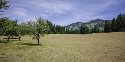 Pensionen - Art der Pension: Urlaub am Bauernhof - Loferstein - Ferienhof Formegg
