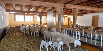 Pensionen - Art der Pension: Urlaub am Bauernhof - Kitzbühel - Ferienhof Formegg