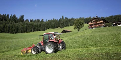 Pensionen - Umgebungsschwerpunkt: Berg - Brixen im Thale - Biobauernhof Fleckl