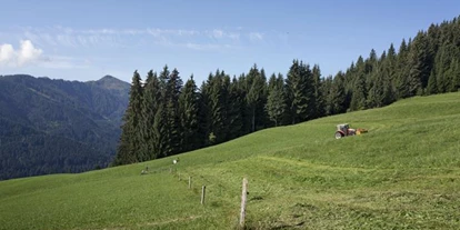 Pensionen - Parkplatz: kostenlos bei der Pension - Kirchberg in Tirol - Biobauernhof Fleckl