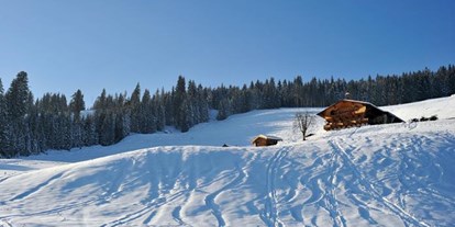 Pensionen - Umgebungsschwerpunkt: Berg - St. Johann in Tirol - Biobauernhof Fleckl